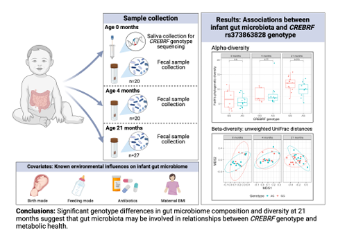 Physiological Genomics (@physiologicalg) on Twitter photo Great work from a team at <a href="/Yale_Anthro/">Yale Anthropology</a>, though how could it be anything else but great? Here's today's #ArticleinPress: Gut microbial composition and diversity varies by CREBRF #genotype among Samoan infants (Sakurako Oyama et al.):
ow.ly/U6co50VVF0c Great work from a team at <a href="/Yale_Anthro/">Yale Anthropology</a>, though how could it be anything else but great? Here's today's #ArticleinPress: Gut microbial composition and diversity varies by CREBRF #genotype among Samoan infants (Sakurako Oyama et al.):
ow.ly/U6co50VVF0c