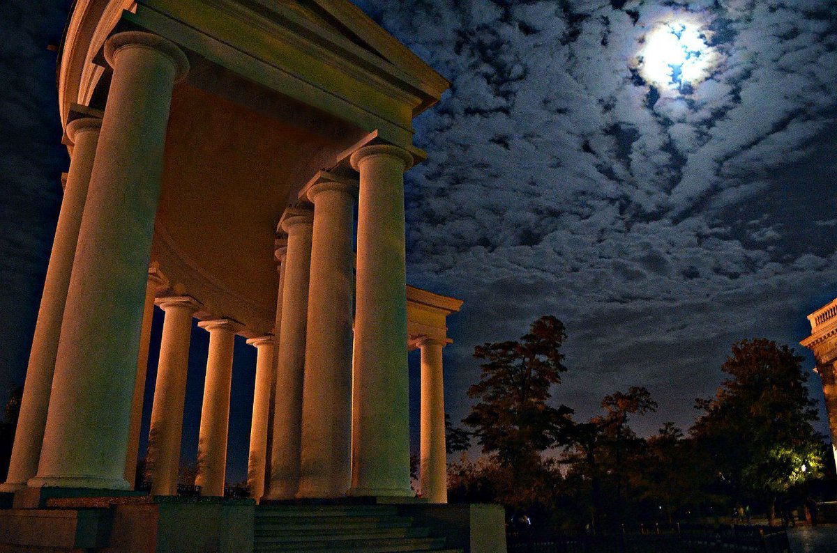 Катерина Галич tweet media