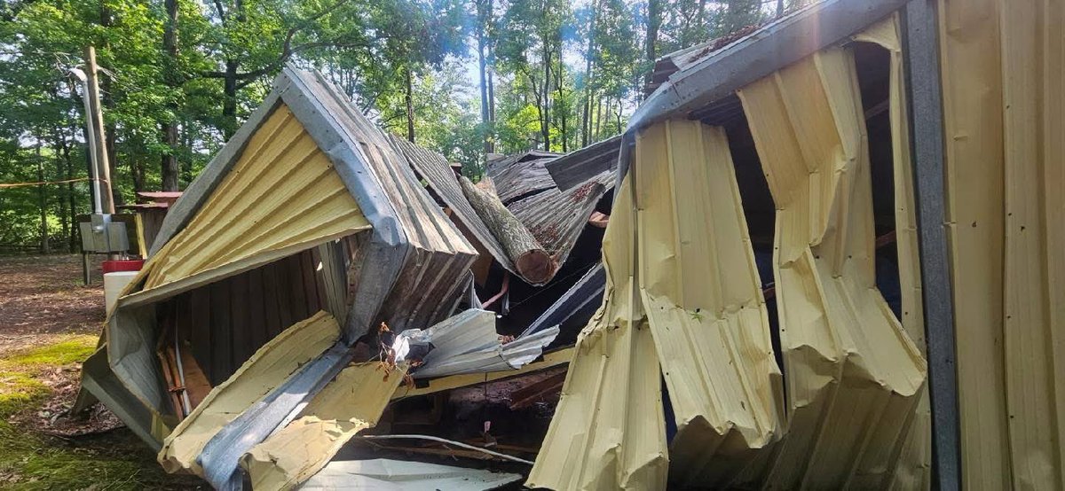 Phil_Lewis_'s tweet photo. The Fort Branch Historical Society in North Carolina recently announced a large tree fell on its museum last month, completely destroying it 

Here’s before and after photos of the museum, which aims to “protect the ‘lifeline’ of the confederacy” https://t.co/mlNv5Ptq6r