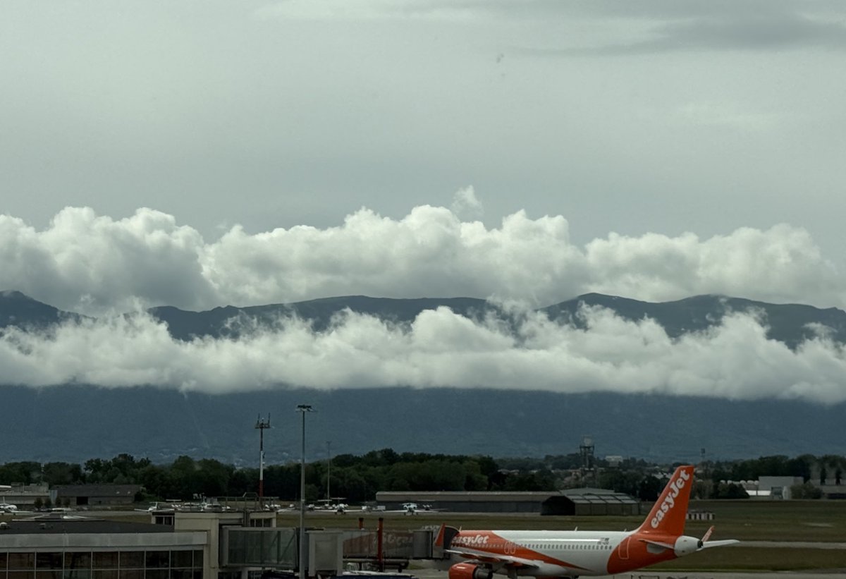 David Whineray (@davidwhineray) on Twitter photo Heading back to 🇬🇧 after whirlwind visit to 🇨🇭Geneva for 🇺🇳 World Health Assembly. Good to meet with range of colleagues, including from 🇺🇳 <a href="/UNAIDS/">UNAIDS Global</a>, <a href="/GlobalFund/">The Global Fund</a> and 🇯🇵 <a href="/MofaJapan_en/">MOFA of Japan</a>. Thank you to the brilliant 🇬🇧 <a href="/UKMissionGeneva/">UK Mission Geneva 🇬🇧</a> team for everything! Heading back to 🇬🇧 after whirlwind visit to 🇨🇭Geneva for 🇺🇳 World Health Assembly. Good to meet with range of colleagues, including from 🇺🇳 <a href="/UNAIDS/">UNAIDS Global</a>, <a href="/GlobalFund/">The Global Fund</a> and 🇯🇵 <a href="/MofaJapan_en/">MOFA of Japan</a>. Thank you to the brilliant 🇬🇧 <a href="/UKMissionGeneva/">UK Mission Geneva 🇬🇧</a> team for everything!