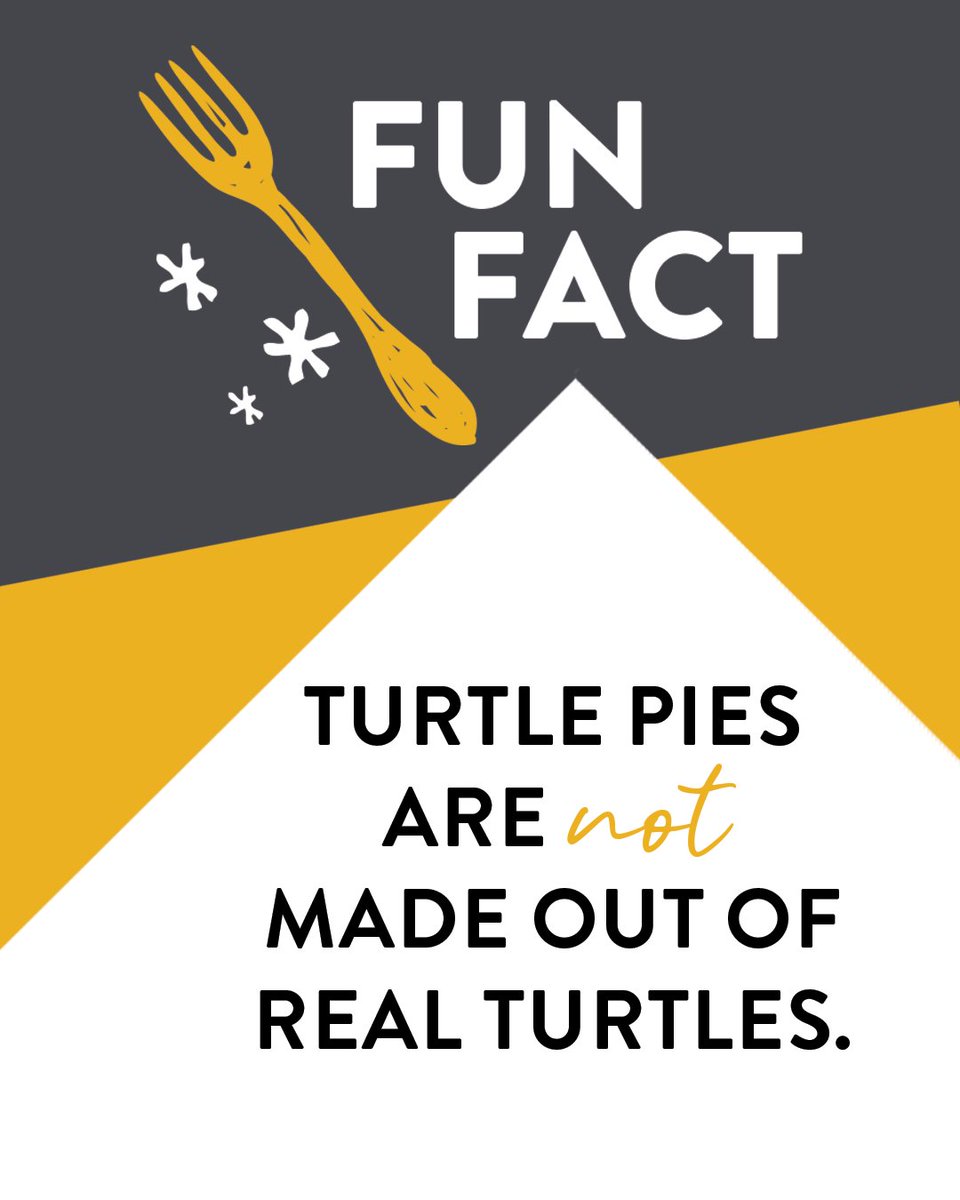 Popularized by a Chicago candy shop during the early part of the 20th century, a "turtle” is a type of candy, with pecans covered in caramel &amp; chocolate. The rounded chocolate top, combined with pecans often peeking out, resembled the shell of a turtle, hence the name.