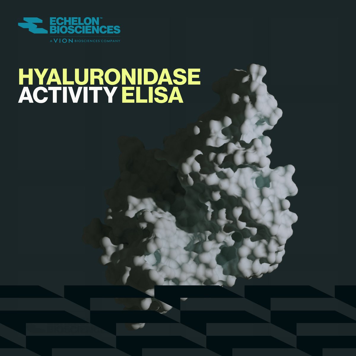 Measure Hyaluronidase Activity with Confidence 💯
+Reliable results from Echelon's simple ELISA.

Echelon’s Hyaluronidase Activity ELISA delivers reliable, quantitative insights into enzyme activity linked to COVID-19 and more. 
#Hyaluronidase #ELISA #Diagnostics