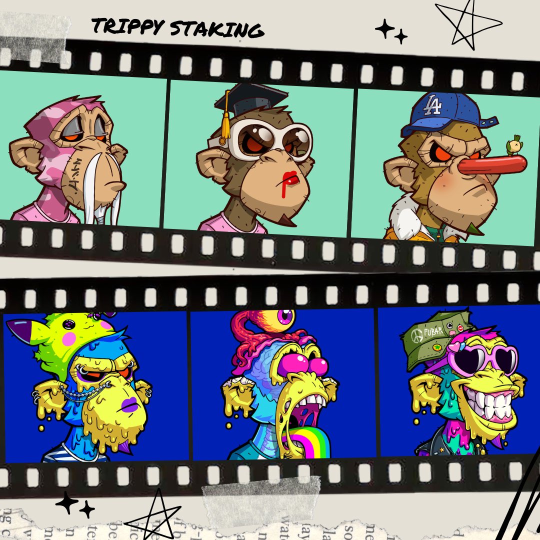 jenfer1585's tweet image. Pair your OG and Trippy Apes, vibe with the crew, and get your rewards every month. 

#AAS #TrippyApes #AngryJungle