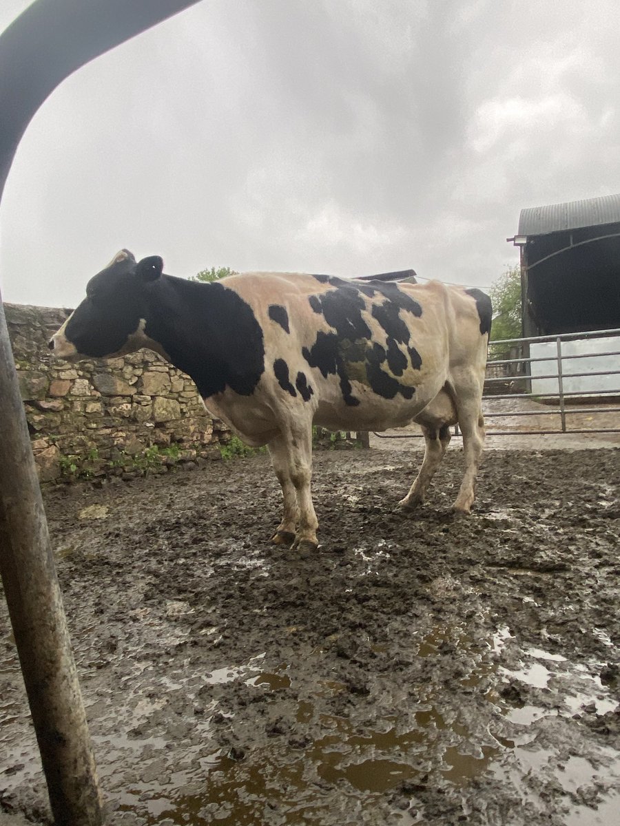 Seamus Dunne tweet media