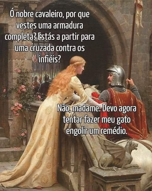 Gatinho nervoso!