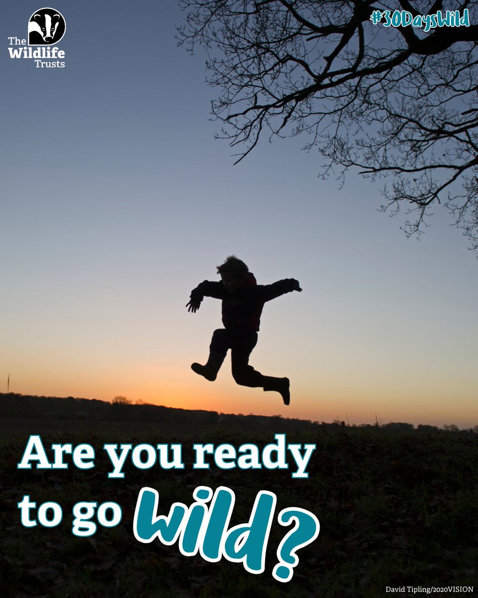 Looking for a fun, screen-free way to keep little ones active? #30DaysWild is the perfect adventure!  💫

From bug hunts to nature crafts, each day can spark curiosity &amp; creativity.
Let’s inspire the next generation to love &amp; protect nature! 👉 bit.ly/4lBrGt6