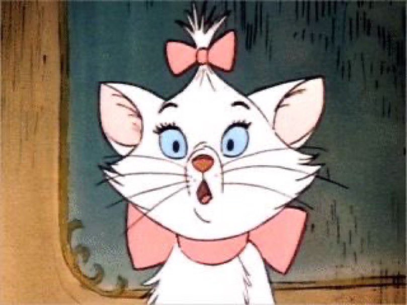 ireneee27's tweet image. You can’t spell cats without TS