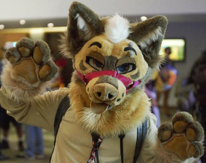 Still open!!!! ⬇️⬇️⬇️