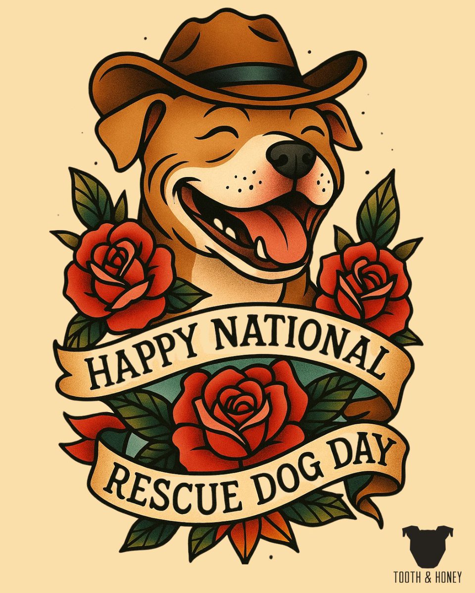 Peopleville365's tweet photo. "Happy National Rescue Dog Day" 🐾🐶💞🐶🐾
#NationalRescueDogDay #AdoptDontShop #RescueDog #RescueDogDay https://t.co/PHodapfWqO