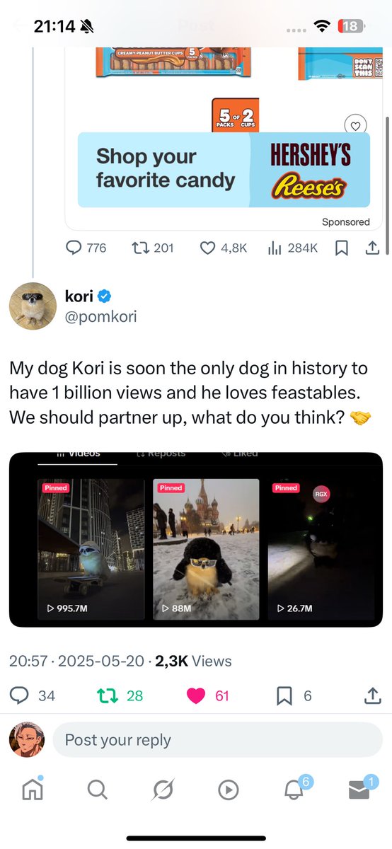 2 SOL GIVEAWAY - 0.2 sol to ten people.

1: Go to <a href="/pomkori/">kori</a>, like and retweet this reply he sent to mrbeast.

2: Retweet this post.

3: Reply here with sol adress and screenshot of your like and retweet on <a href="/pomkori/">kori</a>

Winners chosen tomorrow.