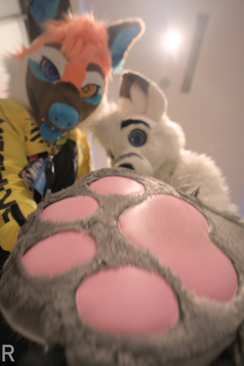 Seems like someone enjoys my paws 🐾🐾  
📷 @/RolandPaws
