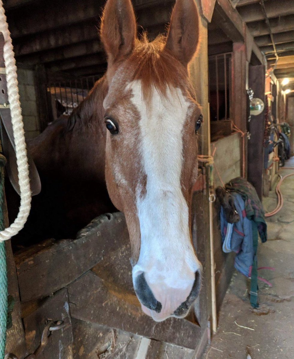 Open Bar NFT week passes for Cowboy Tom’s Bar coming soon! 

Is it too late to say GM?