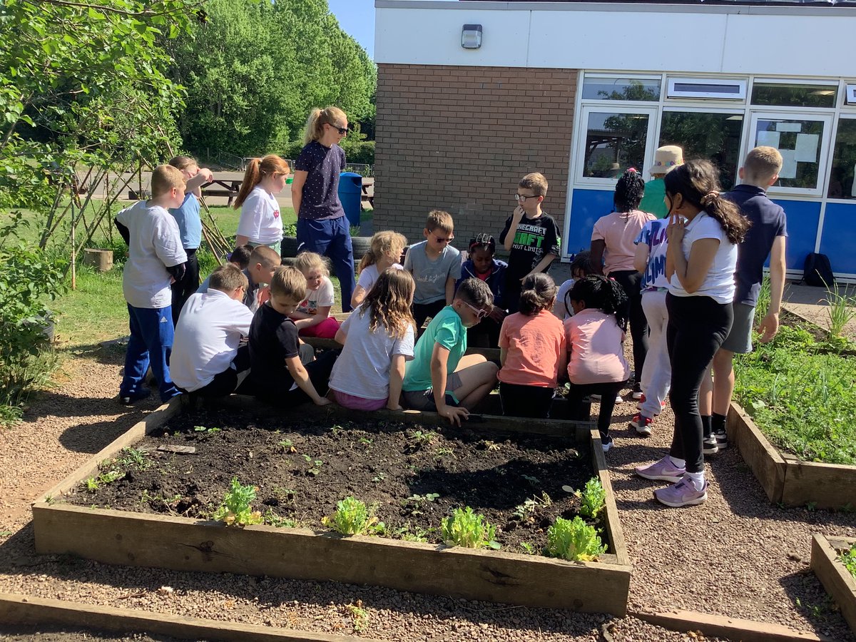 P5atCanalView tweet media