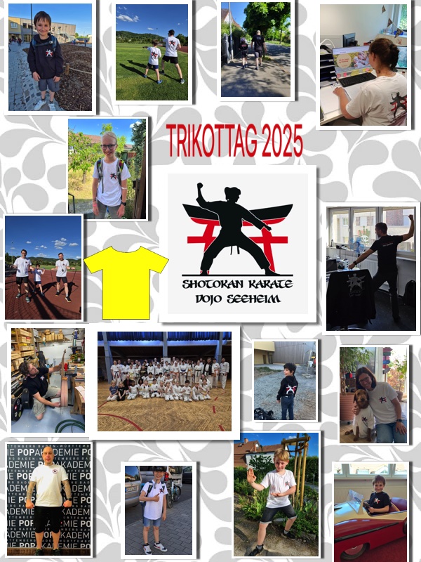 KarateSeeheim's tweet photo. Heute ist Trikot-Tag! Wir zeigen Flagge für unser Dojo – mit Stolz, Disziplin &amp; Teamgeist! Ob im Training, in der Freizeit oder unterwegs – unser Karate Dojo Seeheim ist überall dabei! OSS!🥋✨#TrikotTag205 #KarateSeeheim #KarateDojo #Teamgeist #DojoPride #KarateDeutschland 🥋 https://t.co/PJn1aTfwfO