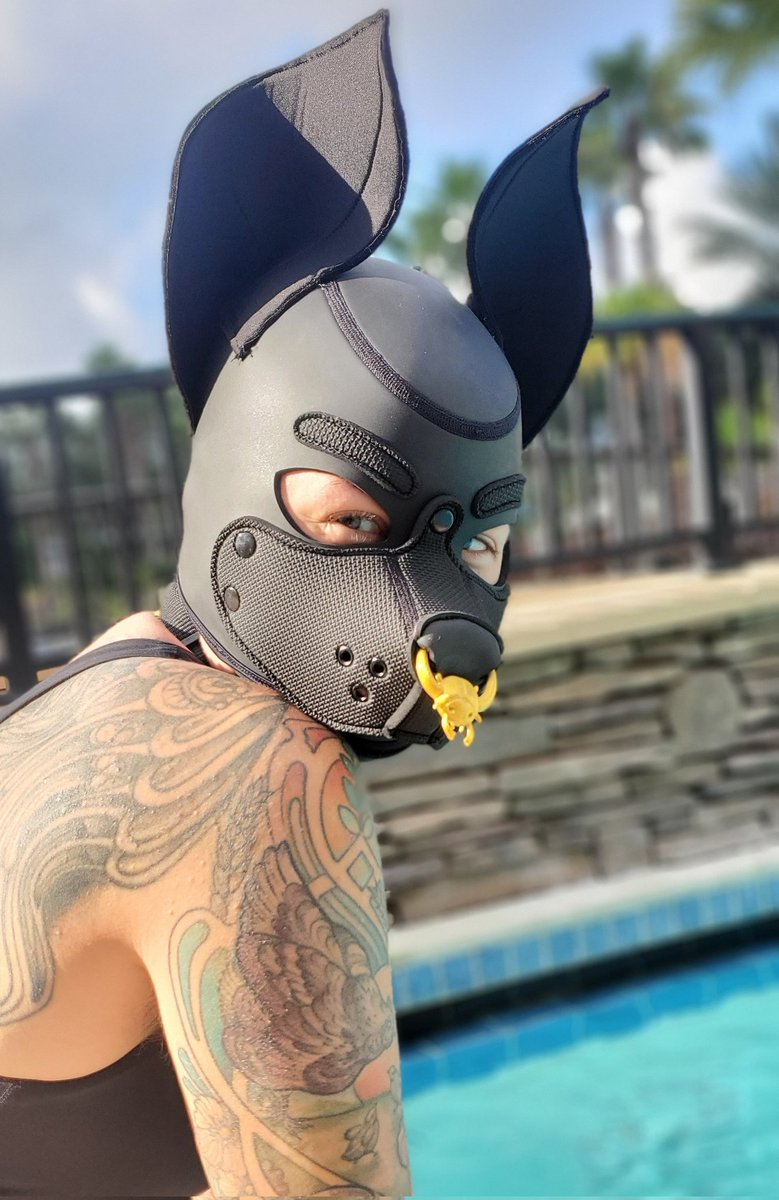 spaghetti enthusiast tweet media