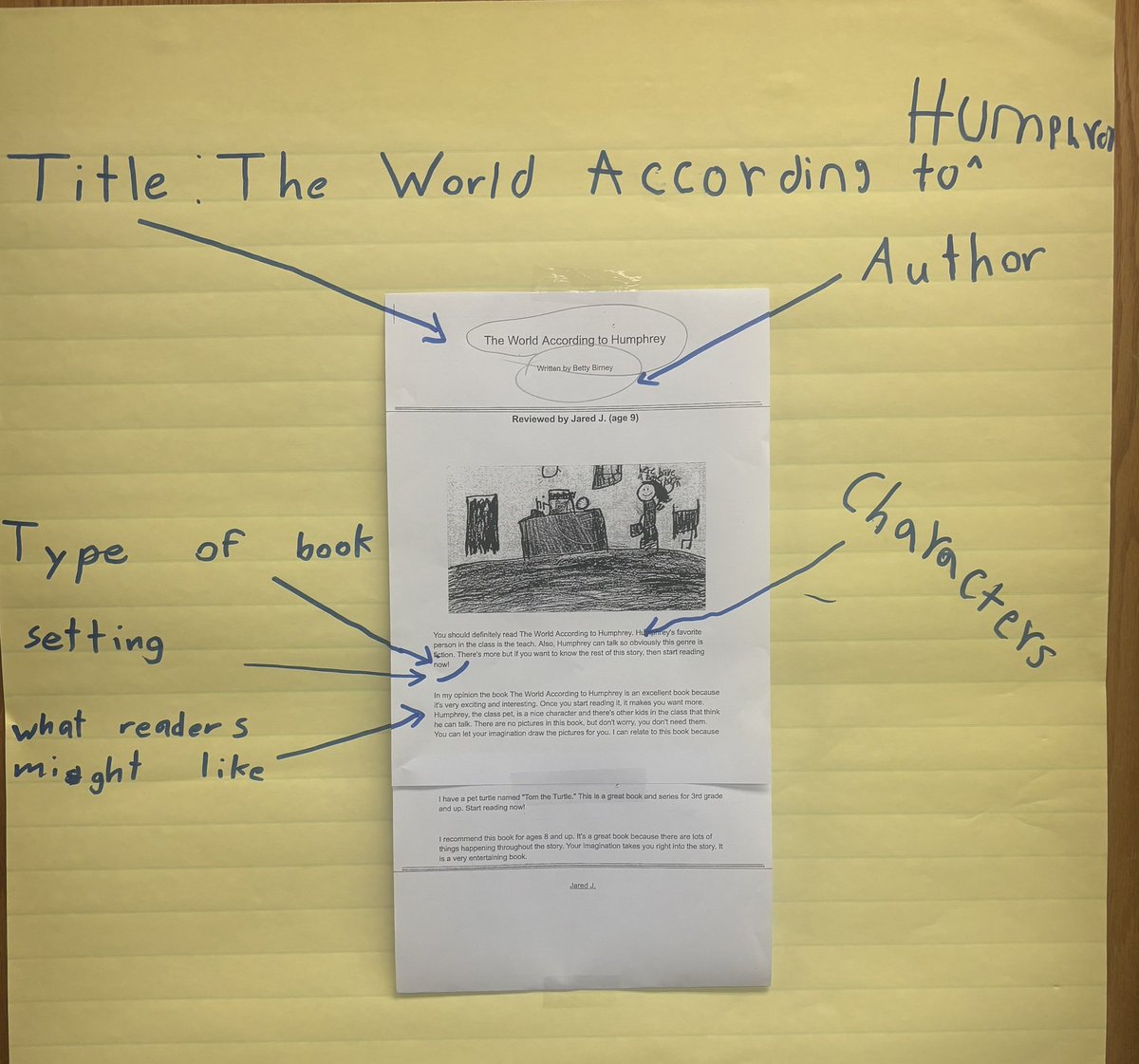 Kari Rowe tweet media