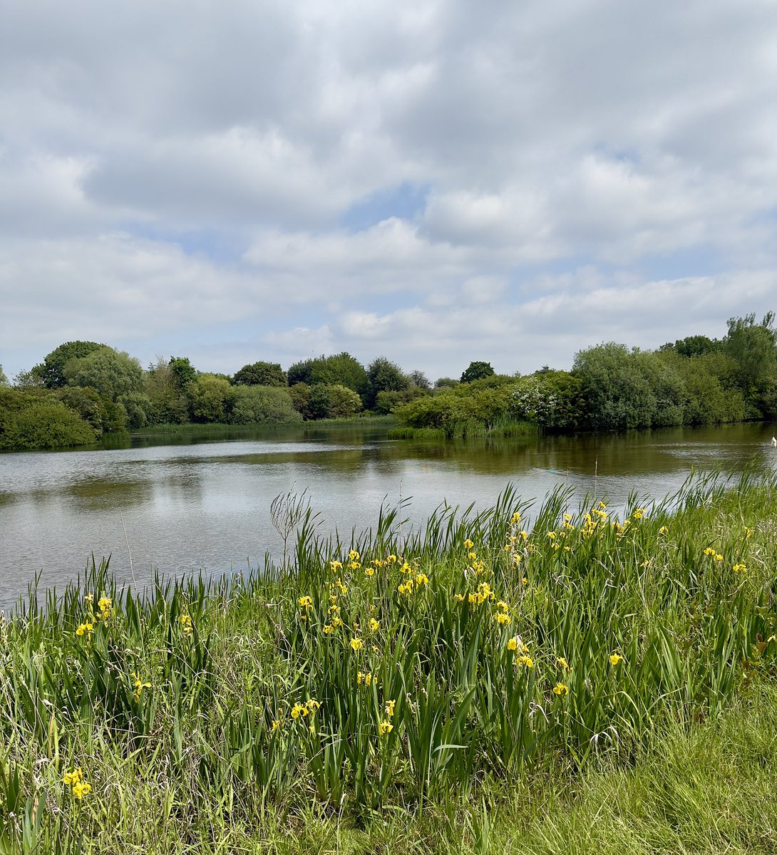 azharch92's tweet photo. Enjoyed the community walk with @ARC_EoE  last Friday at Ferry Meadows Peterborough! It was great to catch up with some members of the research team.  A bit chilly but the fresh air and good company made it all worthwhile. Looking forward to the next one! https://t.co/vo65FdPOY4