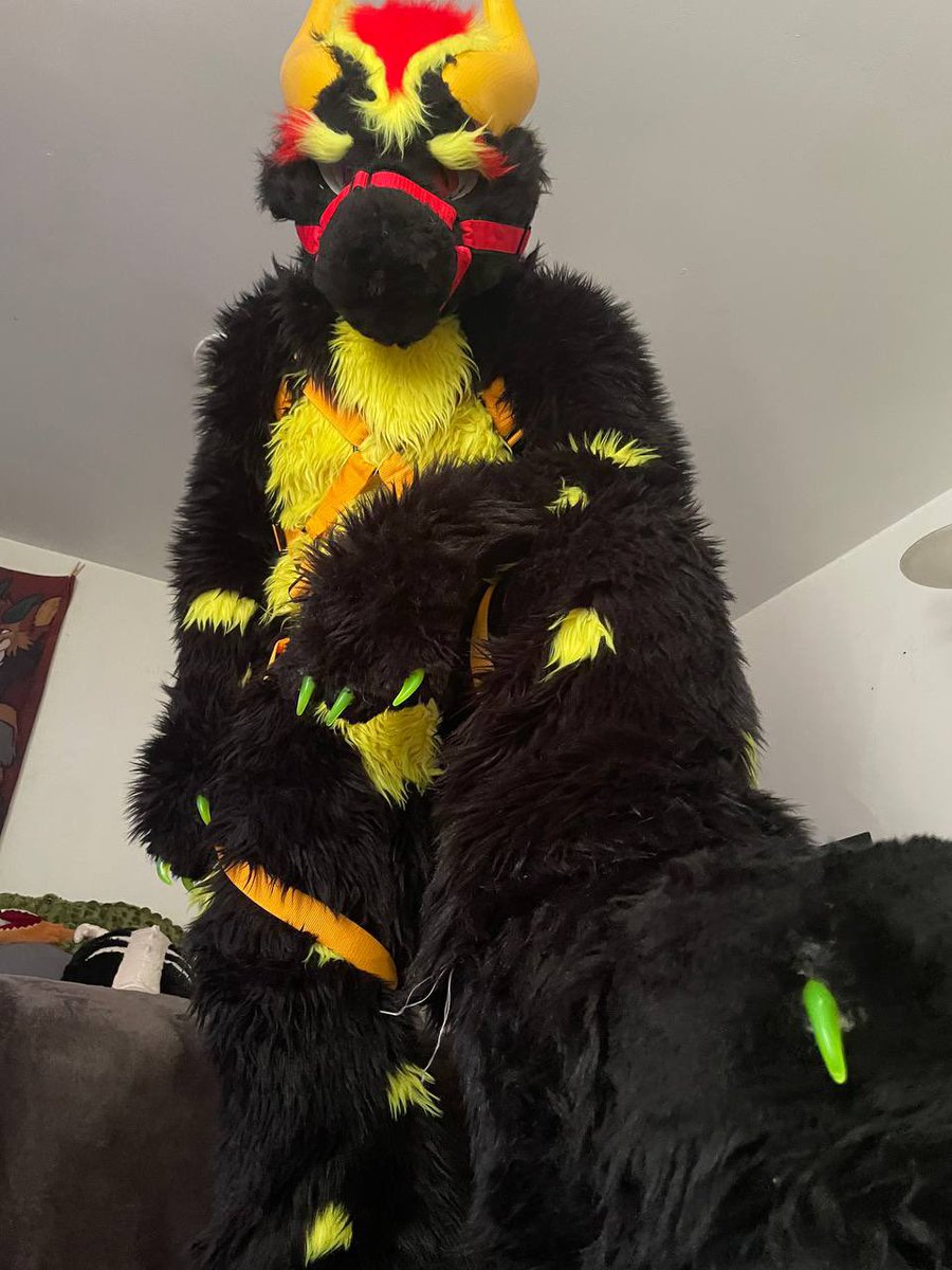 WinterFangsBox's tweet photo. Happy paw day now get to serving
#feet #PawsAndClaws #PawDay https://t.co/ZXcf6D9fZR