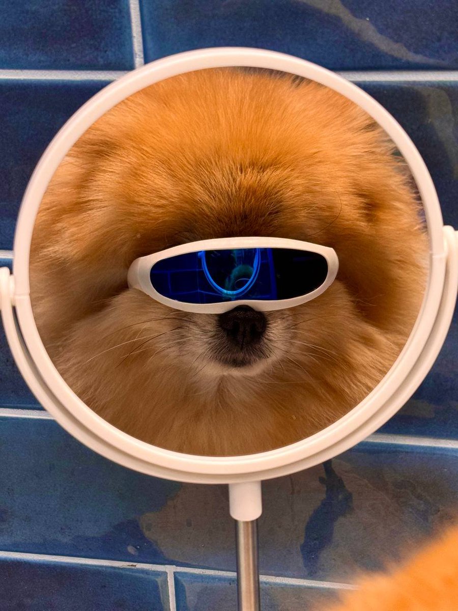 😎