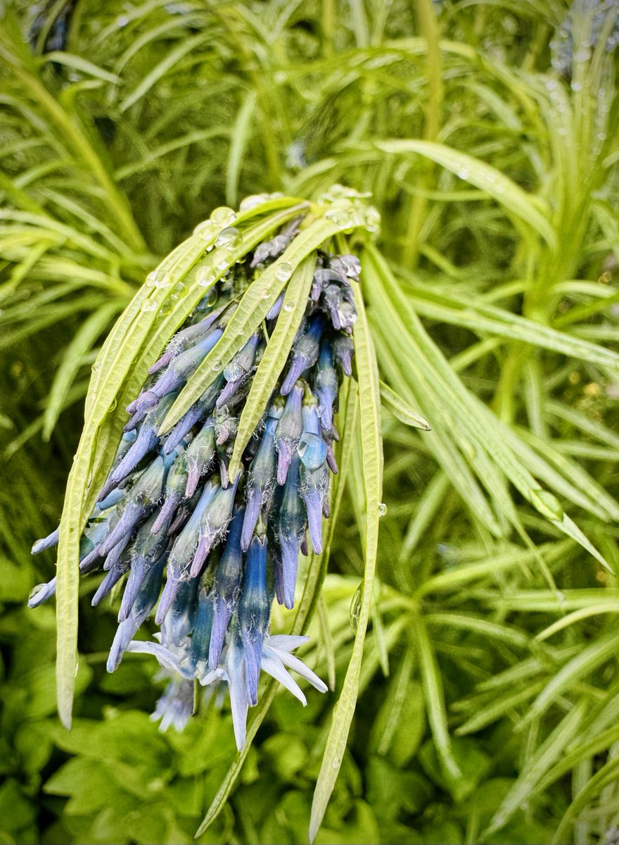 Jiří Prokop tweet media