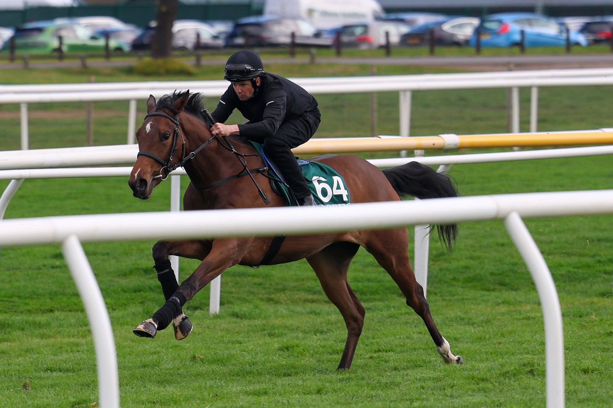 We’re excited to have been sent this lovely filly, Ardad x Ejtyah! 🐎

She was selected by the same purchaser who found Lake Forest, Sky Majesty and Treasure Time. 

Shares from 1% upwards are available on the <a href="/RaceShare/">RaceShare</a> website - raceshare.com/horses/ardad-f…