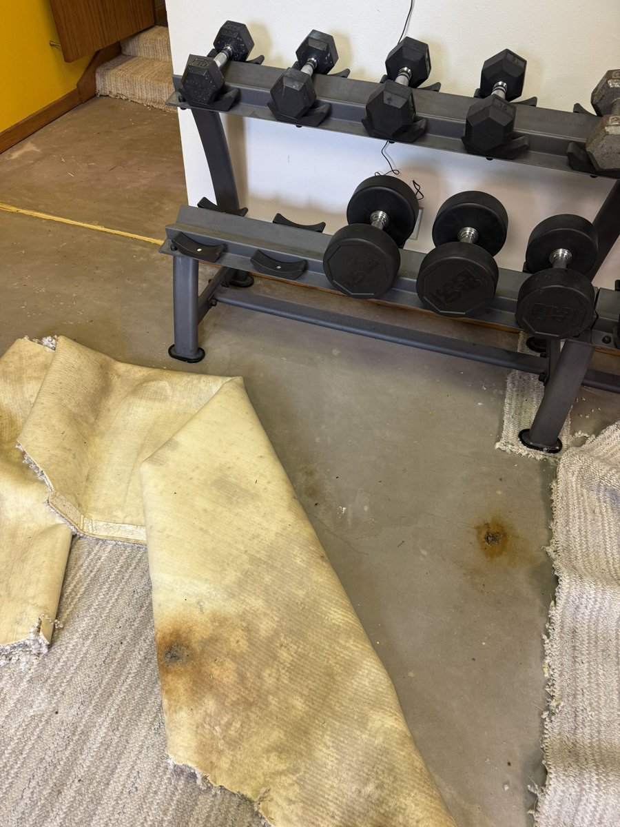 Corey Hillebo tweet media