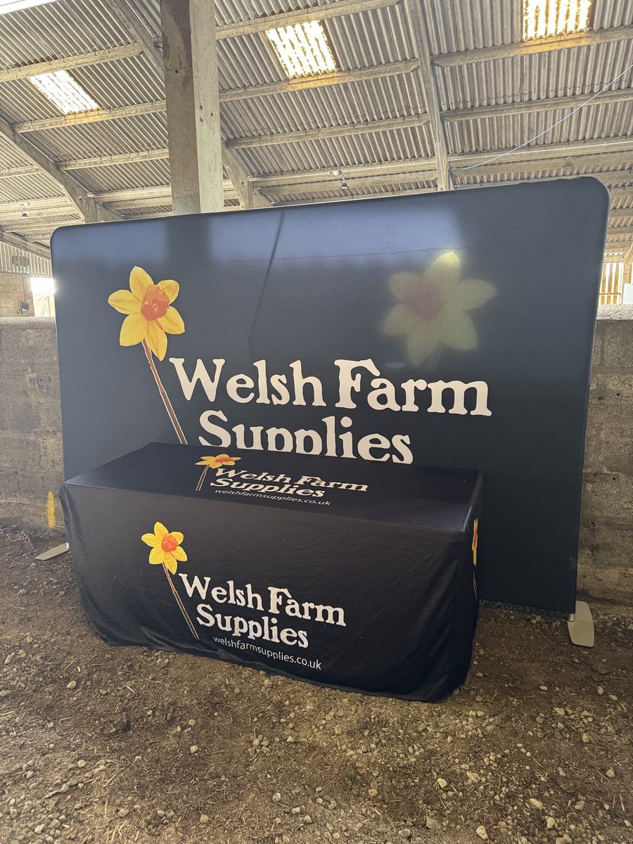 FarmWelsh's tweet image. All ready for the Welsh Sheep Event tomorrow. Hope to see you there.

#smallbusinessesstickingtogether #SheepAndCattleDrench #wholelambcolostrum #thedaffodilisrising #lambdefender #WorksEverywhere #notjustforwales #littleandoften #eweturnpodcast #WelshFarmSupplies