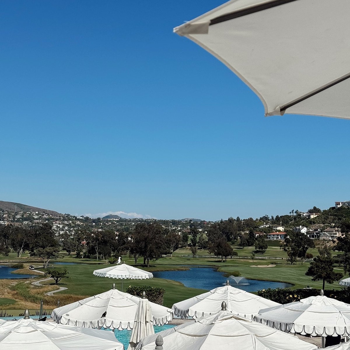 Anna07233's tweet image. Just the kind of calm I needed. #ResortVibes #GolfGetaway #Natur