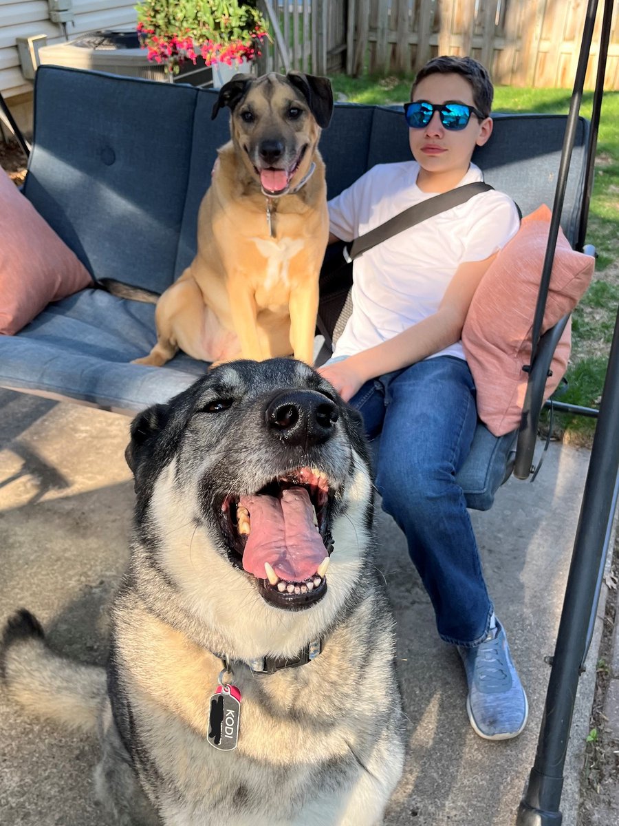 Patterson Veterinary tweet media