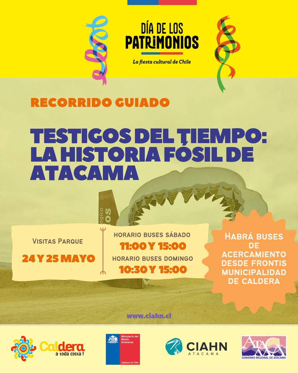 Corporación Paleontológica (@ciahnatacama) on Twitter photo 📣 En conjunto con <a href="/municaldera/">MunicipalidadCaldera</a> les invitamos a la actividad "Testigos del tiempo: la historia fósil de Atacama", con un recorrido especial por el Parque Paleontológico Los Dedos.
📲Reservas al whatsapp +56961714312
#DiadelosPatrimonios2025 #Paleontología #PatrimonioNatural 📣 En conjunto con <a href="/municaldera/">MunicipalidadCaldera</a> les invitamos a la actividad "Testigos del tiempo: la historia fósil de Atacama", con un recorrido especial por el Parque Paleontológico Los Dedos.
📲Reservas al whatsapp +56961714312
#DiadelosPatrimonios2025 #Paleontología #PatrimonioNatural