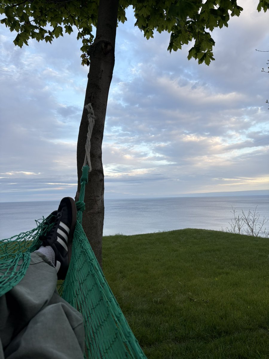 Imagine a bench here