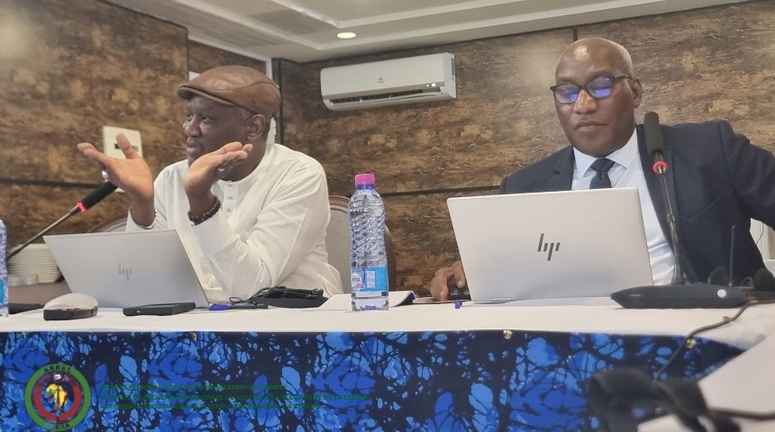 ERERA_ARREC's tweet photo. ERERA established a Working Group to support the development of the Procedure for Issuing Authorization to Participate in the Regional Electricity Market. 
The Working Group are presently sharing national and regional perspectives, https://t.co/IHUbN2piYb