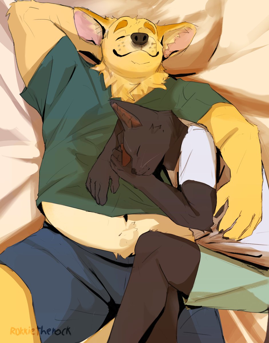 RokkieTheRock's tweet photo. Sleepy friends 😴 https://t.co/P5ceHsJwjF