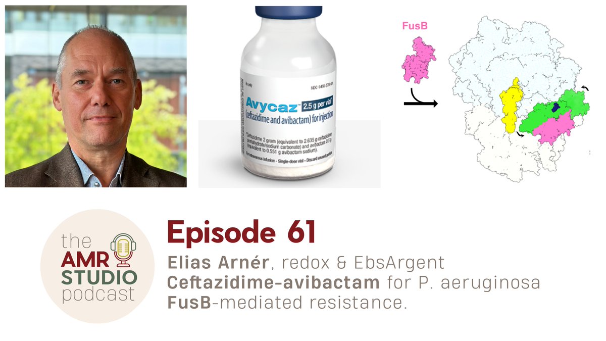 🎙️Ep61 of #theAMRstudio:

Join us as we talk with Prof. Arnér about his work in redox biology &amp; the development of the novel antibiotic candidate, EbsArgent.  We also explore:

Resistance of Ceftazidime-avibactam
Mechanisms behind FusB-mediated resistance

uu.se/en/centre/upps…