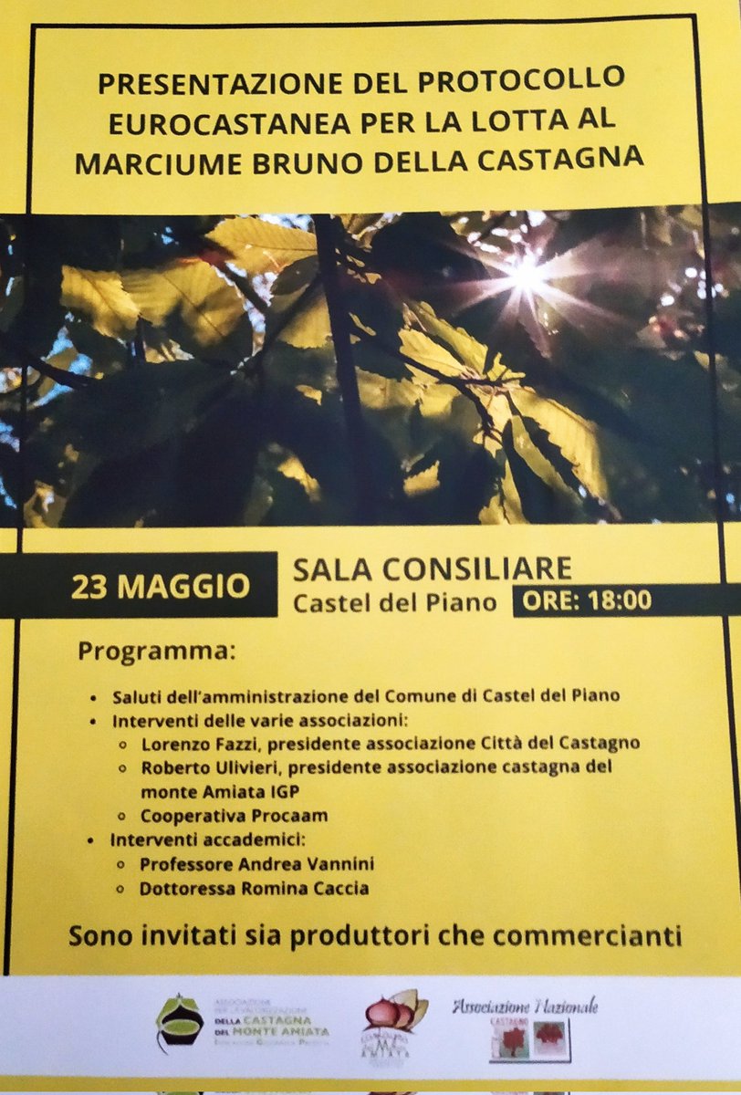 #castagne #amiata #news
