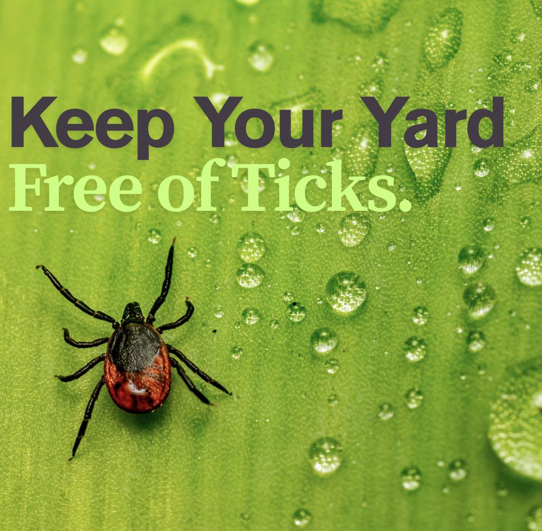 You may have noticed ticks are out in full force right now.
Tick season in Connecticut typically lasts from April to October, with peak activity occurring in May, June, and July.
Contact us TODAY to keep your yard free of ticks.