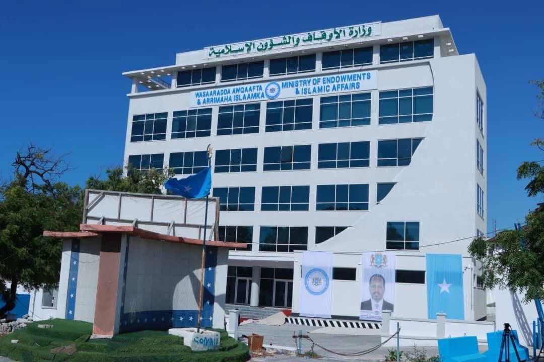 Salad Addow tweet media