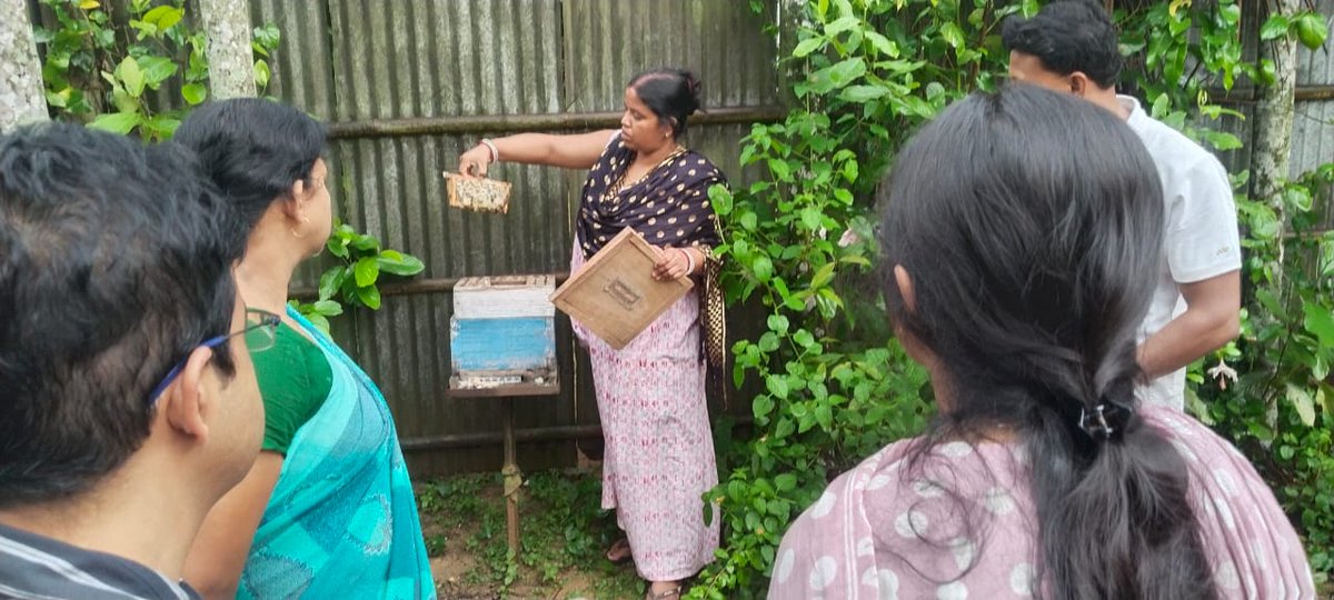 DMWest_Tripura's tweet image. On 20.05.2025, ADM &amp;amp; Collector, West Tripura visited SHG centres under Old Agartala RD Block along with TRLM team. Reviewed livelihood progress &amp;amp; encouraged rural women entrepreneurs.

#TRLM #SHG #WomenEmpowerment #WestTripura #RuralDevelopment
