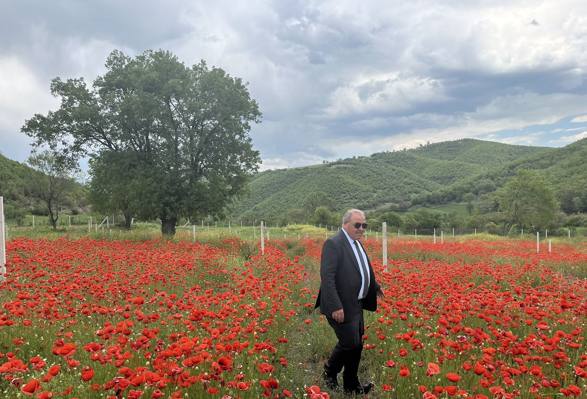 resulozata55's tweet photo. Vezirköprümüzün Güzellikleri🌹 https://t.co/iErrDghfU5