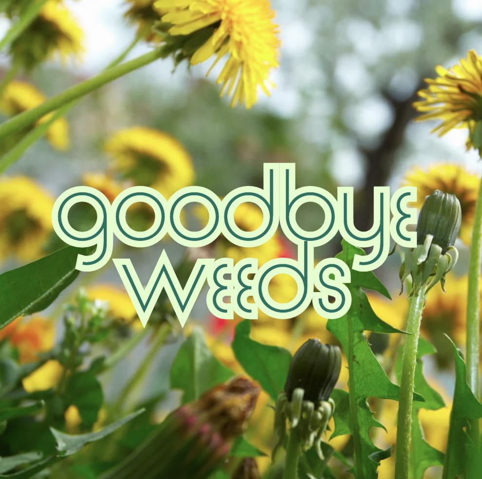 Conquering a weed-filled lawn is challenging. Dr. Green Lawns can eradicate weeds and pests from your property with surgical precision. This gives your grass the seasonal attention and nutrients that it deserves.
Estimates are FREE. #DrGreenLawns