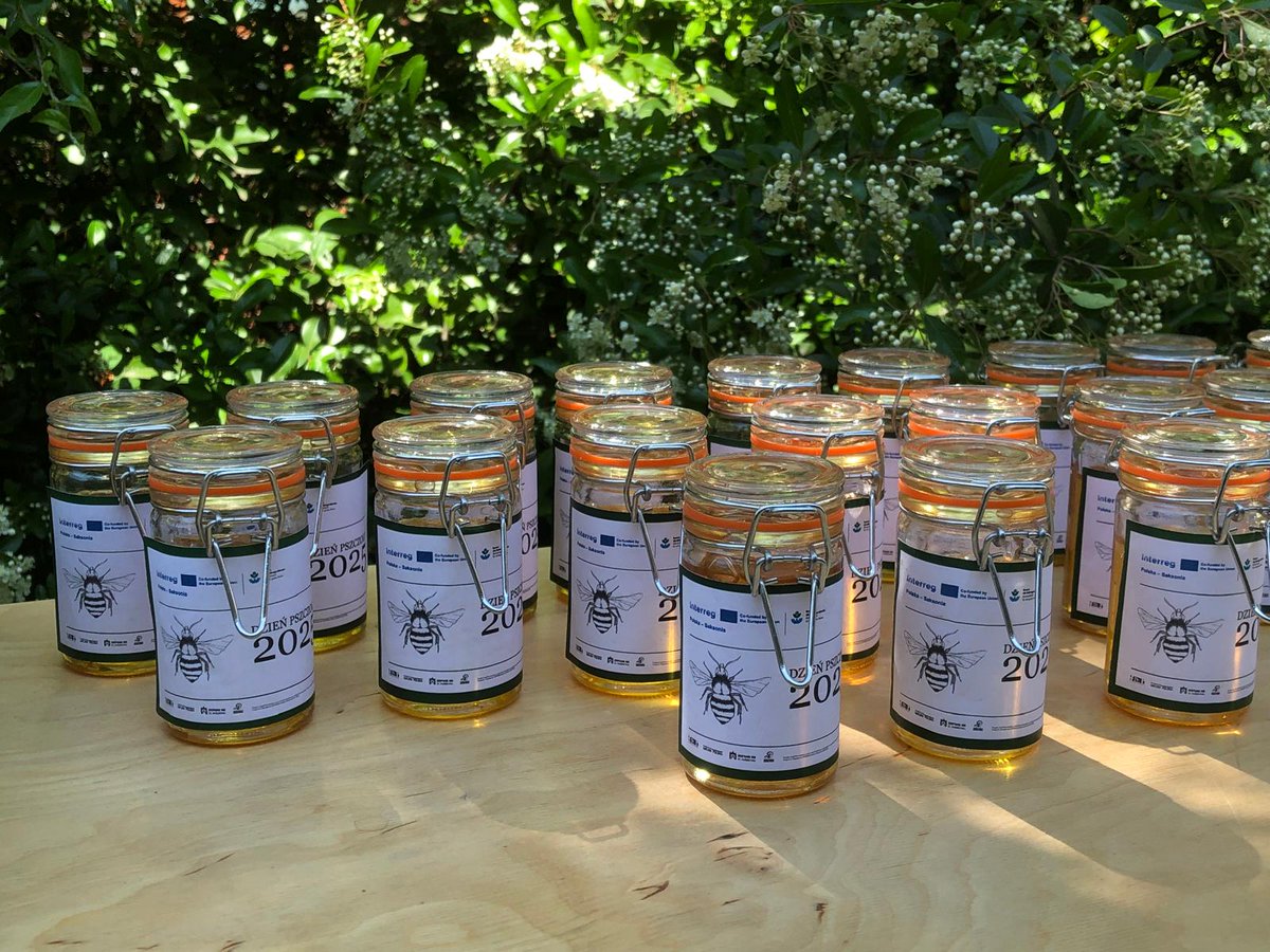 fundacja_FER's tweet photo. 🐝Dzisiaj Dzień Pszczoły. Startujemy  z polsko-niemieckim 🇵🇱🇩🇪 projektem dla zapylaczy, drzew🌳 i adaptacji do zmian klimatu #RazemDlaKlimatu  👉 https://t.co/c5YcfT11Sg Chrońmy zapylacze - to się opyla. #InterregPLSN 🇪🇺#UE https://t.co/SET78I7RH9
