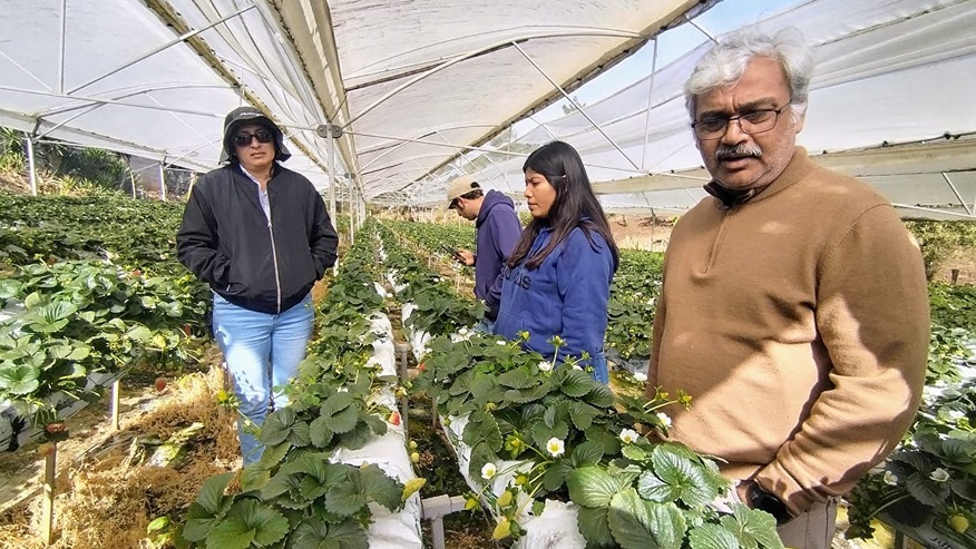 Purdue Agriculture (@purdueag) on Twitter photo .<a href="/PurdueHortLA/">Purdue Horticulture and Landscape Architecture</a> will offer a one-day workshop about hydroponic crop production July 12 for home and commercial growers. Participants will learn about hydroponic crop production and how to manage environmental conditions. extension.purdue.edu/news/2025/05/h… .<a href="/PurdueHortLA/">Purdue Horticulture and Landscape Architecture</a> will offer a one-day workshop about hydroponic crop production July 12 for home and commercial growers. Participants will learn about hydroponic crop production and how to manage environmental conditions. extension.purdue.edu/news/2025/05/h…