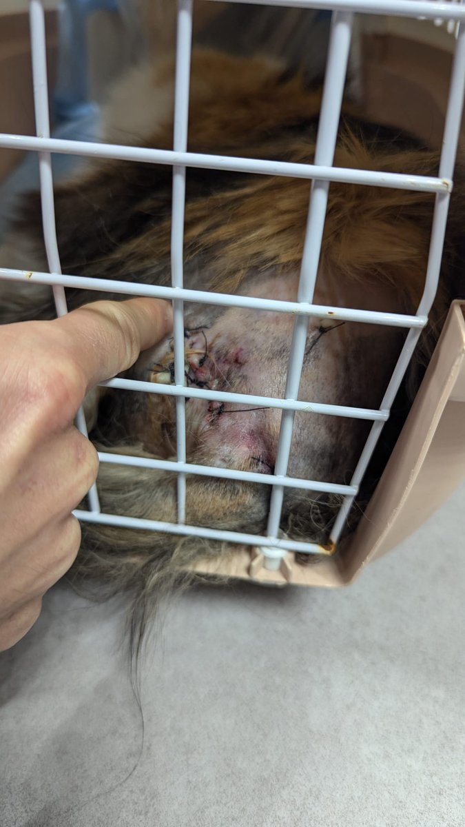 Erwan 🍷 tweet media