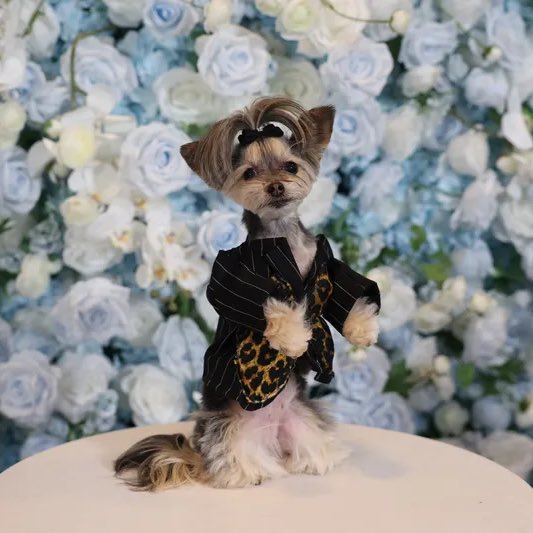 Doja Hubs tweet media