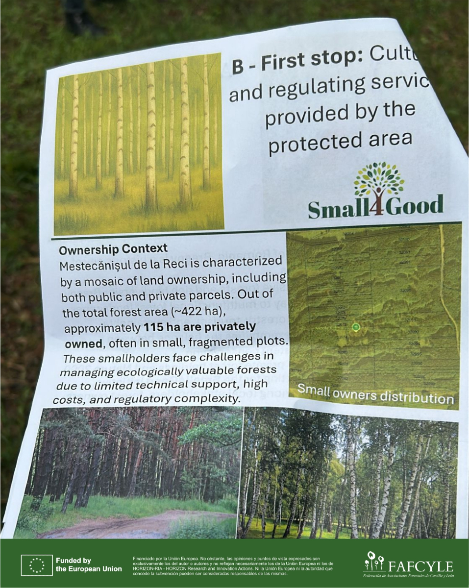 fafcyle's tweet image. 🌲 Del 20 al 22 de mayo, FAFCYLE participa en el #LivingLab del Este de Europa en Brașov, Rumanía, dentro del proyecto @Small4Good. Intercambiamos ideas para mejorar la gestión forestal de pequeños propietarios y promover bosques más sostenibles. #GestiónForestal #FAFCYLE