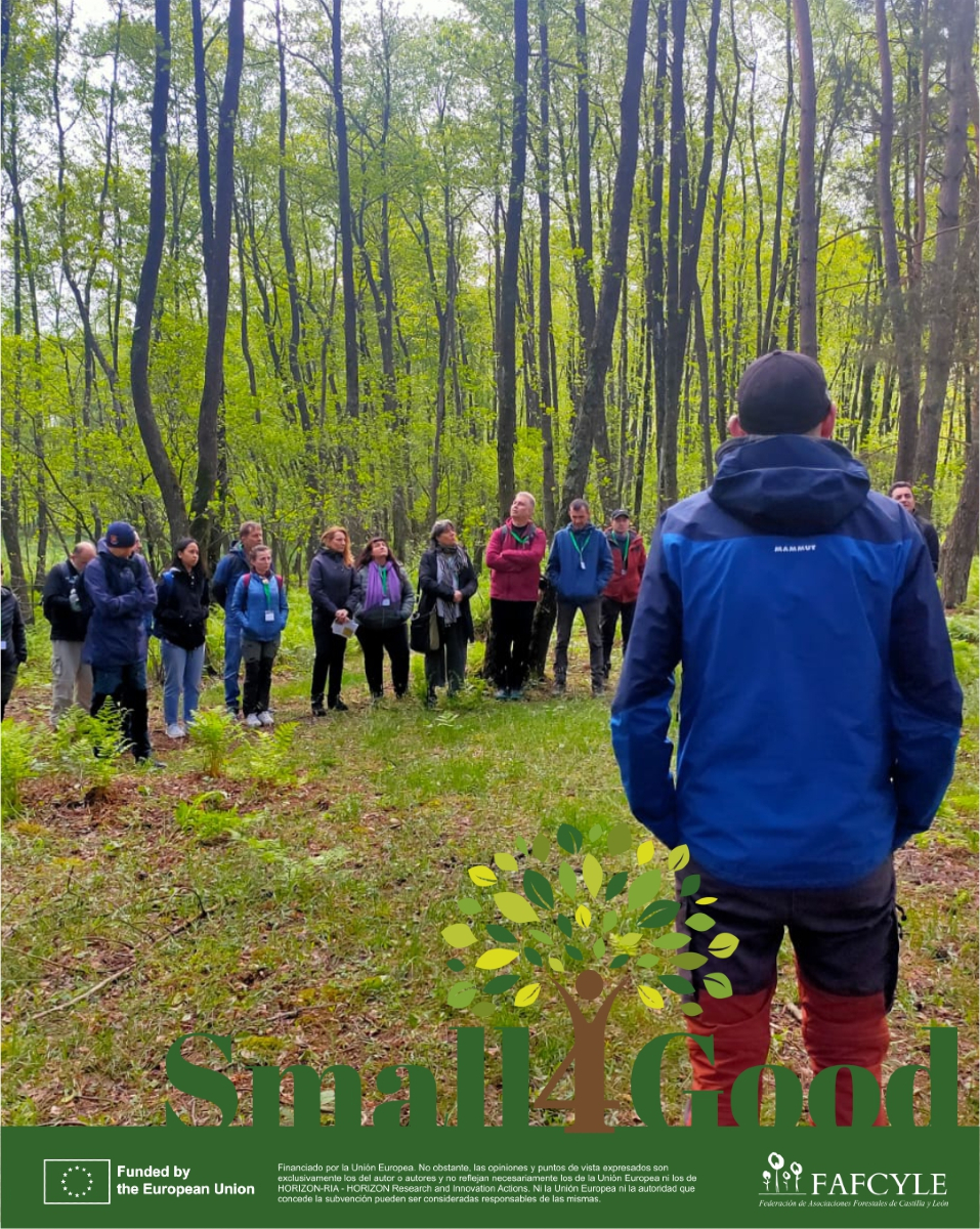 fafcyle's tweet image. 🌲 Del 20 al 22 de mayo, FAFCYLE participa en el #LivingLab del Este de Europa en Brașov, Rumanía, dentro del proyecto @Small4Good. Intercambiamos ideas para mejorar la gestión forestal de pequeños propietarios y promover bosques más sostenibles. #GestiónForestal #FAFCYLE
