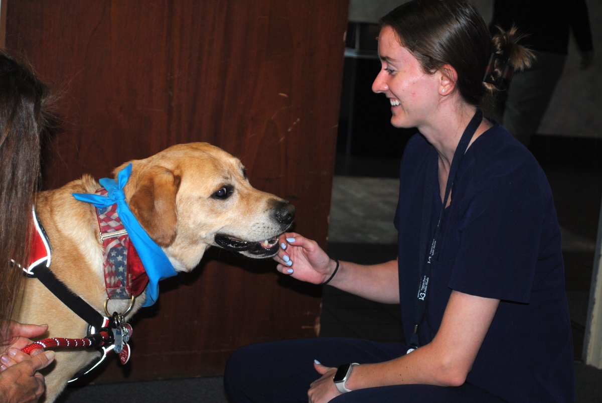 Virginia Beach Department of Public Health tweet media