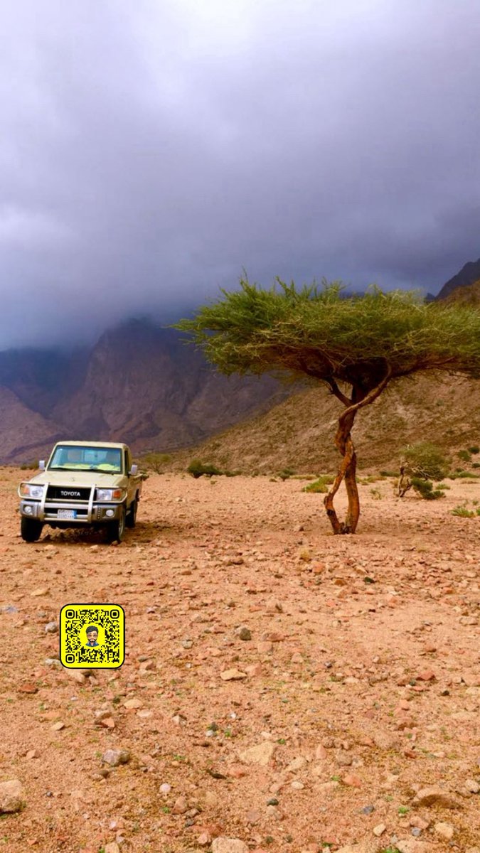 خلك على صكات الأيام صبار
ويوماً يفوتك لا تمنى رجوعه
-
اقفى على مافيه من خير واشرار
نجماً هوى ما يندرى عن طلوعه

مساء الخيرات 🌹

#مساء_الخير  #تبوك