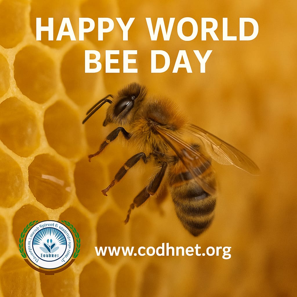 CODHNET's tweet image. It’s #WorldBeeDay!
Bees are vital for food, biodiversity &amp;amp; farmer livelihoods.

At #CoDHNet, we support sustainable beekeeping to help communities earn income &amp;amp; protect pollinators.

Support the buzz:
🌼 Plant for pollinators
🍯 Buy local honey
🌱 Choose eco-farming
#SaveTheBees