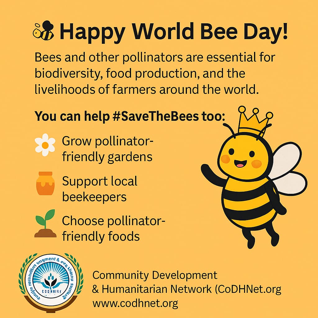 CODHNET's tweet image. It’s #WorldBeeDay!
Bees are vital for food, biodiversity &amp;amp; farmer livelihoods.

At #CoDHNet, we support sustainable beekeeping to help communities earn income &amp;amp; protect pollinators.

Support the buzz:
🌼 Plant for pollinators
🍯 Buy local honey
🌱 Choose eco-farming
#SaveTheBees